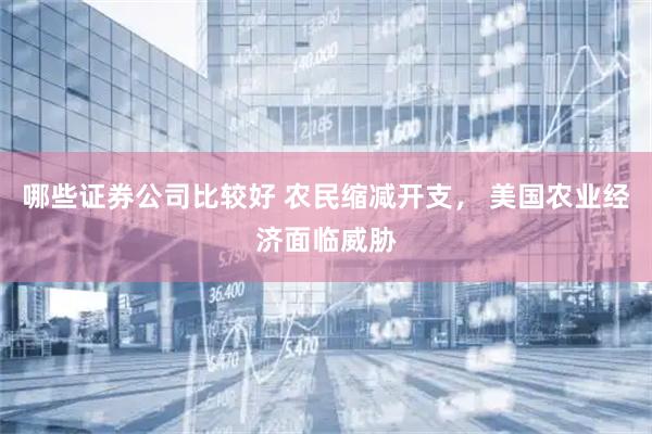哪些证券公司比较好 农民缩减开支， 美国农业经济面临威胁