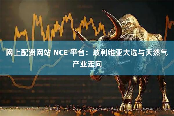 网上配资网站 NCE 平台：玻利维亚大选与天然气产业走向