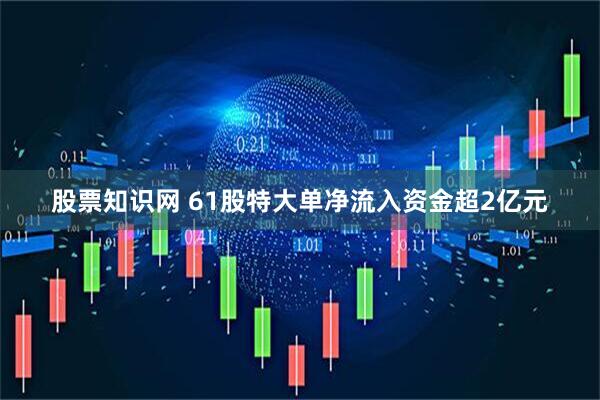 股票知识网 61股特大单净流入资金超2亿元