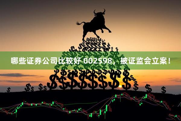 哪些证券公司比较好 002598，被证监会立案！