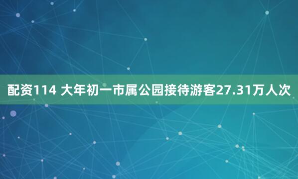 配资114 大年初一市属公园接待游客27.31万人次