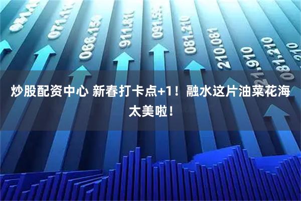 炒股配资中心 新春打卡点+1！融水这片油菜花海太美啦！